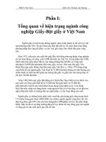 ngành công nghiệp Giấy-Bột giấy ở Việt Nam.doc