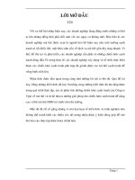 Chiến lược cạnh tranh của Công ty TNHH MTV Vpin trong lĩnh vực phân phối mã thẻ ĐTDĐ trả trước.doc