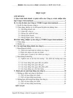 Chức năng, nhiệm vụ của Công ty TNHH Cooper-International.DOC
