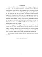 Vấn đề pháp lý đặt ra về căn cứ phát sinh, chấm dứt quyền sử dụng hạn chế Bất động sản liền kề.docx