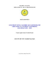 Giai phap nang cao hieu qua kinh doanh cho cong ty cp tam phong giai doan 2008-2010.doc