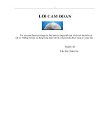 CỦNG CỐ VÀ NÂNG CAO THƯƠNG HIỆU CỦA CÔNG TY TNHH DV BẢO VỆ 247 THÔNG QUA HOẠT ĐỘNG PR.doc