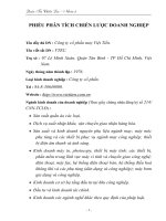 PHIẾU PHÂN TÍCH CHIẾN LƯỢC DOANH NGHIỆP