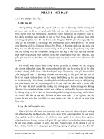 phân tích tình hình thu mua và xuất khẩu gạo của công ty MEKONIMEXNS.doc