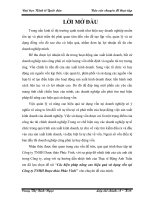 các biện pháp nâng cao hiệu quả sử dụng vốn tại Công ty TNHH Dược thảo Phúc Vinh.doc