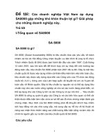 Các doanh nghiệp Việt Nam áp dụng SA8000 gặp những khó khăn thuận lợi gì Giải pháp cho những doanh nghiệp này.doc.DOC