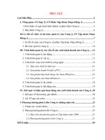 Tình hình quản lý các yếu tố sản xuất kinh doanh của Công ty Cổ Phần Tập Đoàn Nhựa Đông Á.DOC