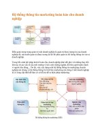 Hệ thống thông tin marketing hoàn hảo cho doanh nghiệp.docx