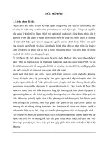 Phân cấp quản lý ngân sách nhà nước giữa Tỉnh và huyện, xã ở tỉnh Bắc Ninh, giai đoạn 2004-2007- Thực trạng, phương hướng, giải pháp hoàn thiện.DOC