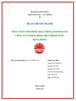 Phân tích tình hình hoạt động kinh doanh công ty cổ phần bóng đèn phích nước rạng đông.doc