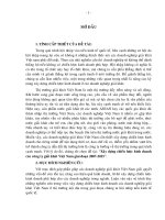 Xây dựng chiến lược kinh doanh các công ty giải khát Việt Nam giai đoạn 2007-2015.pdf