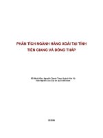 Phân tích ngành hàng xoài tại tỉnh tiền giang và đồng tháp.doc