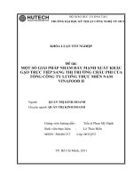 Một số giải pháp nhằm  đẩy mạnh xuất khẩu gạo trực tiếp sang thị trường Châu Phi của Tổng Công ty Lương Thực Miền Nam (Vinafood2).doc