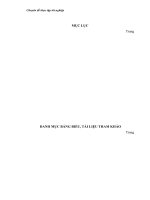 Thực trạng và giải pháp Xoá đói giảm nghèo ở huyện Như Thanh – Thanh Hoá.docx