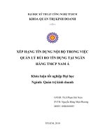 XẾP HẠNG TÍN DỤNG NỘI BỘ TRONG VIỆC QUẢN LÝ RỦI RO TÍN DỤNG TẠI NGÂN HÀNG TMCP NAM Á.doc