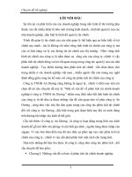 Một số vấn đề về phân tích tài chính doanh nghiệp ở công ty TNHH An Dương.docx