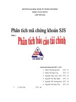 Phân tích mã chứng khoán SJS.doc