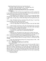 quản trị chiến lược ngành hàng không hoa kỳ.doc