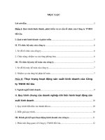 Thực trạng hoạt động sản xuất kinh doanh của Công ty TNHH Hồ Gia.doc