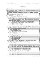 Báo cáo thực tế môn học tại công ty TNHH Mê Công Thái Lan.doc