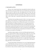 Ứng dụng phương pháp xác định giá trị rủi ro VaR trong phân tích và quản trị rủi ro các dự án đầu tư ngành thép tại Ngân hàng Agribank chi nhánh tỉnh Hải Dương.doc