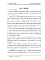 Đánh giá và hoàn thiện chiến lược xúc tiến xúc tiến cho nhãn hiệu L’ovité nhằm nâng cao năng lực cạnh tranh cho công ty Cổ phần Mỹ Phẩm Đẹp.pdf