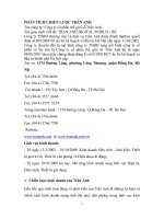 Phân tích chiến lược trần anh.doc