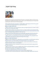 ngành tài chính ngân hàng.docx