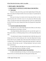 Chiến lược marketing cho thị trường bia heniken.doc