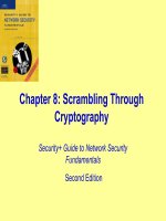 Scrambling Through Cryptography