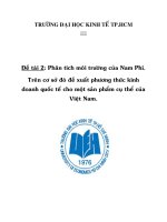 phân tích môi trường Nam Phi-đề xuất phương thức kinh doanh quốc tế cho sản phẩm dệt may.doc