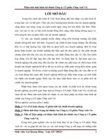 Phân tích tình hình tài chính Công ty Cổ phần Thép Anh Vũ.pdf