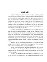 Cổ phần hoá doanh nghiệp Nhà nước ỏ Việt Nam.DOC