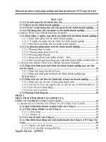 BIỆN PHÁP NHẰM CẢI THIỆN TÌNH HÌNH TÀI CHÍNH TẠI  CÔNG TY CỔ PHẦN CẢNG VẬT CÁCH.doc