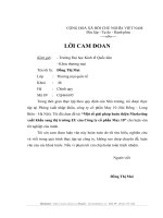 Một số giải pháp hoàn thiện Marketing xuất khẩu sang thị trường EU của Công ty cổ phần May 10.DOC