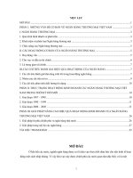 GIẢI PHÁP NÂNG CAO HIỆU QUẢ HOẠT ĐỘNG KINH DOANH CỦA NGÂN HÀNG THƯƠNG MẠI VIỆT NAM.doc