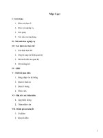 Tìm hiểu về công ty Sun-Rise solution.doc