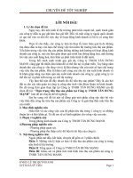 Thực trạng tiêu thụ sản phẩm tại Công ty TNHH TÂN HƯNG MẠNH.doc