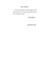 Phát triển hạ tầng kinh tế - xã hội ở nông thôn tỉnh Bắc Ninh, kinh nghiệm và giải pháp.pdf