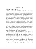 Kiểm tra thống kê chất lượng sản phẩm trong công ty TNHH Hoàng Tiêu.DOC