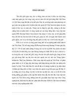 Đầu tư trực tiếp nước ngoài tại Việt Nam từ năm 2000 đến nay.DOC