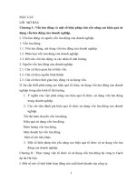 Một số giải pháp nâng cao hiệu quả tổ chức, sử dụng vốn lưu động ở Công ty Gạch ốp lát Hà Nội.docx