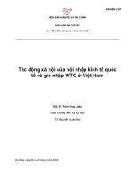 Tác động xã hội của hội nhập kinh tế quốc tế và gia nhập WTO ở Việt Nam.pdf