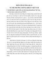 Phân tích tổng quan về thị trường chứng khoán Việt Nam.docx