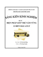 Sang kien kinh nghiem - Bien phap giup tre nam vung 12 bien bao ATGT.doc