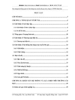 Xây dựng hệ thống quản lý bán hàng trực tuyến đá quý cho công ty CPPM Hiện Đại.DOC