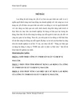 Nâng cao hiệu quả sử dụng lao động ở công ty TNHH sản xuất và dịch vụ Mai Lâm.docx