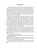 Vai trò của đầu tư trực tiếp nước ngoài với công cuộc công nghiệp hóa, hiện đại hóa ở Việt Nam.DOC