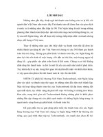 Giải pháp phát triển hoạt động kinh doanh thẻ thanh toán tại Ngân hàng thương mại cổ phần Kỹ thương Việt Nam-Techcombank.docx