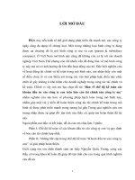 Bàn về chế độ kế toán các khoản đầu tư vào công ty con trên báo cáo tài chính của công ty mẹ.DOC